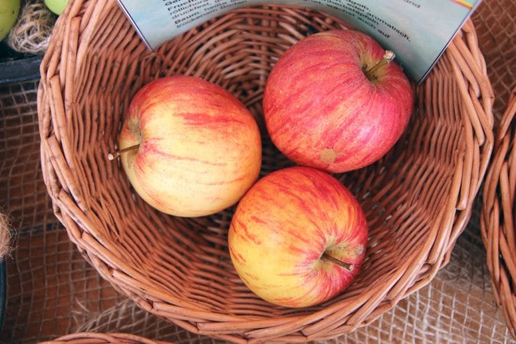 Apfel Alkmene Beschreibung Geschmack Erntezeit Selbstversorger De