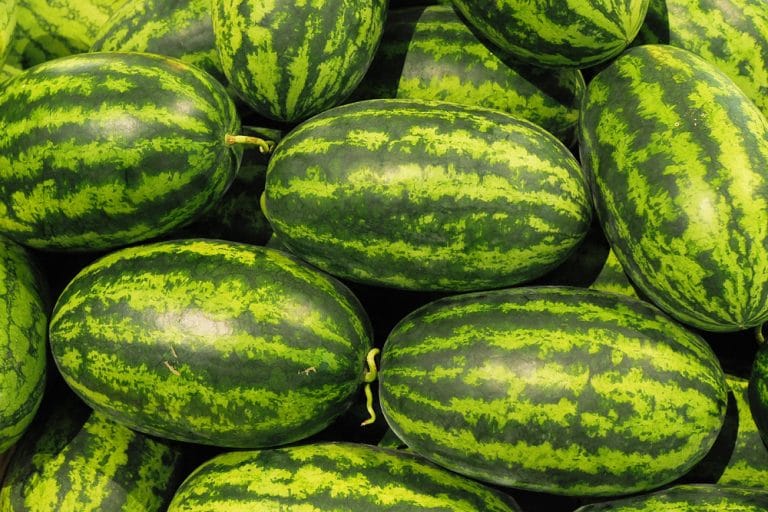 Melonensorten mit Bild: A Comprehensive Guide to the World of Melons