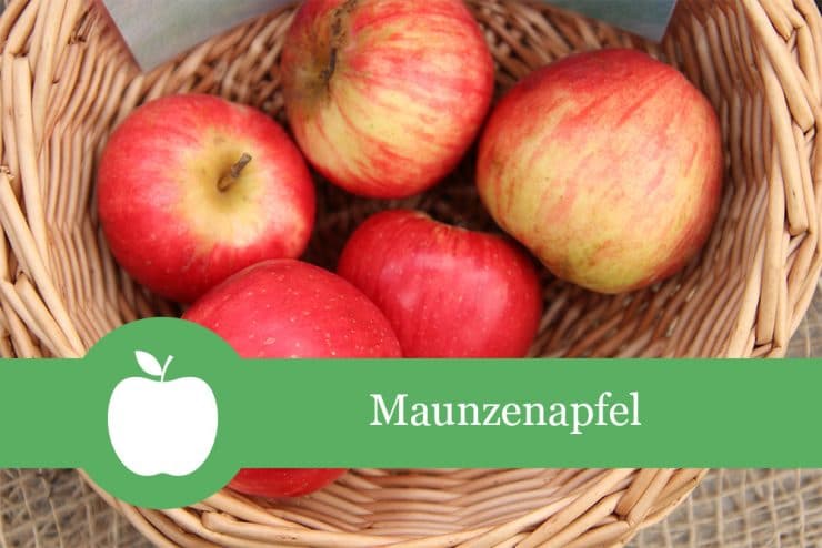 Maunzenapfel